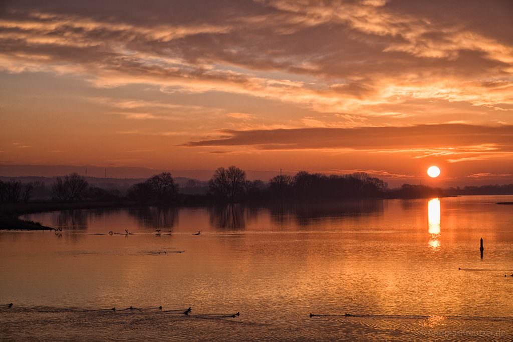 Sonnenaufgang an der Elbe