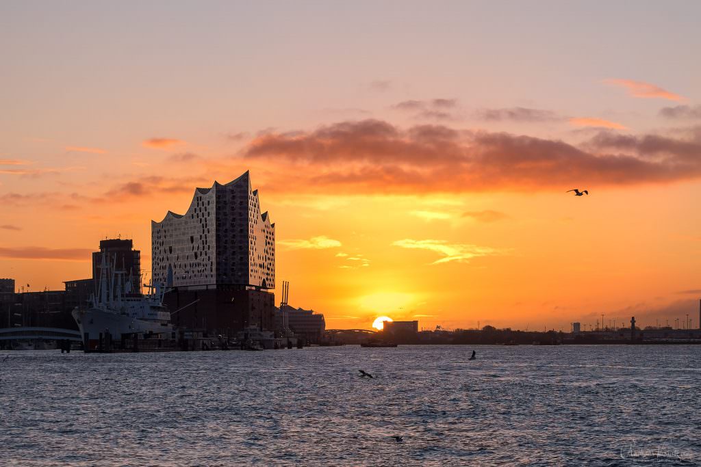 Sonnenaufgang am Hafen