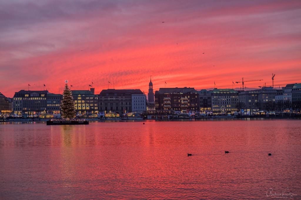 Hamburger Binnenalster mit Alstertanne