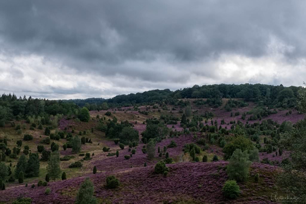 Lüneburger Heide Totengrund