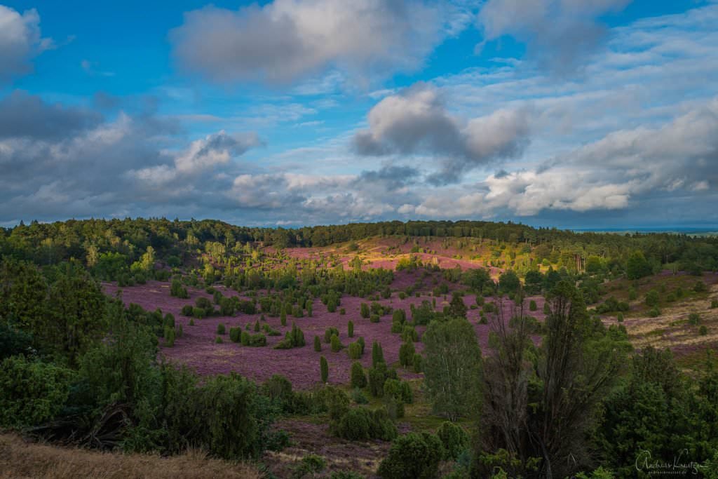 Lüneburger Heide Totengrund