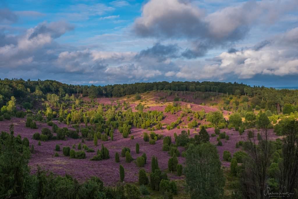 Lüneburger Heide Totengrund