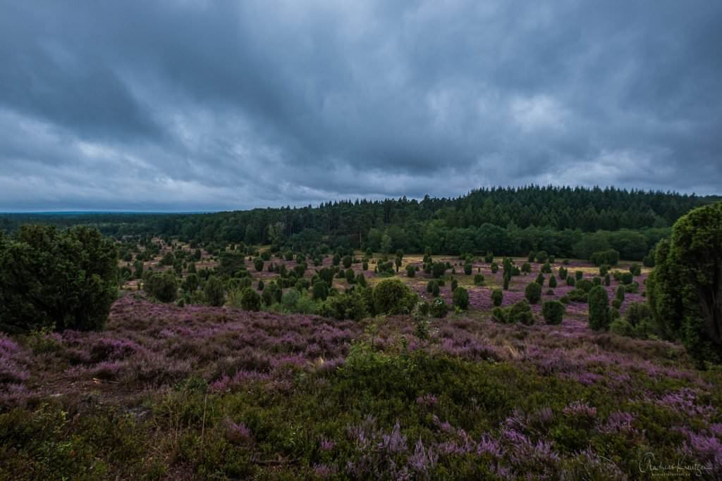 Steingrund in der Lüneburger Heide