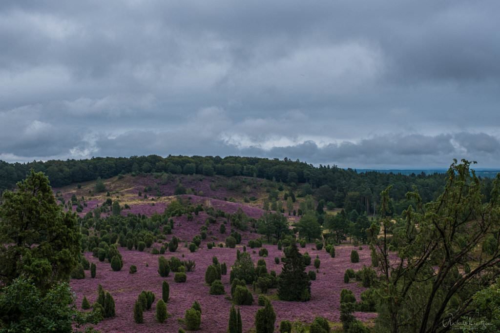 Totengrund in der Lüneburger Heide