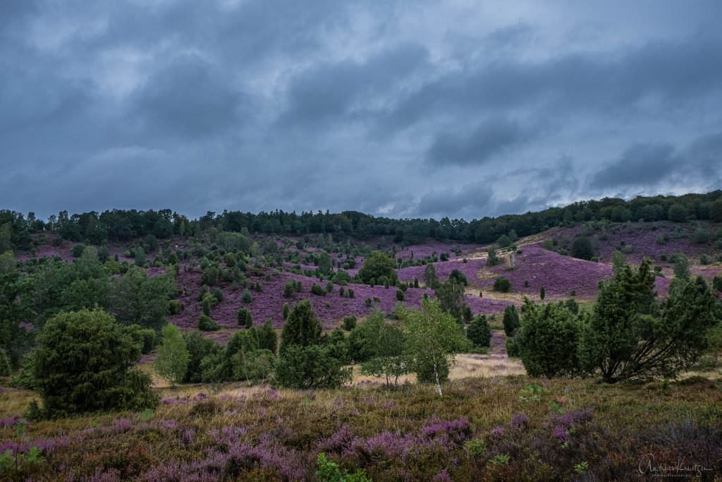 Totengrund in der Lüneburger Heide