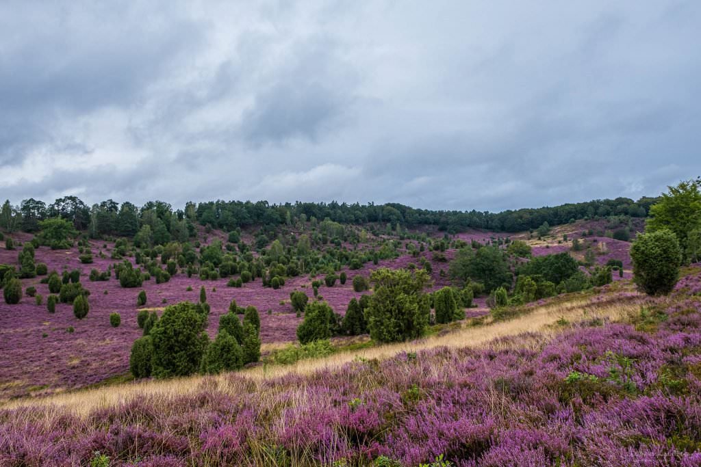 Totengrund in der Lüneburger Heide