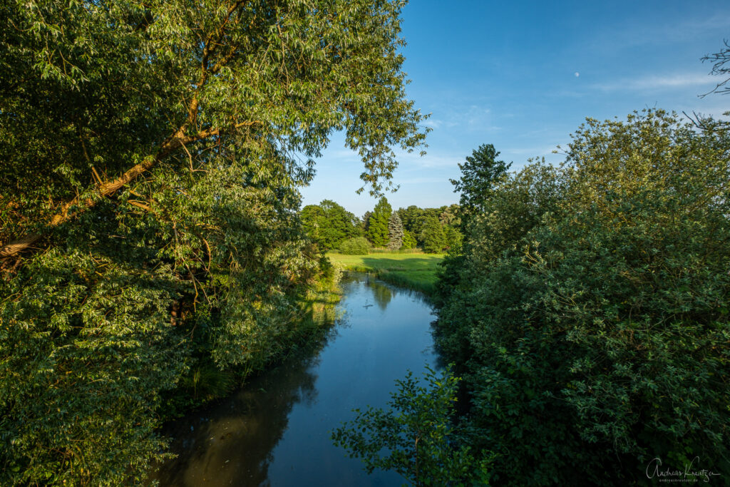 Gose Elbe