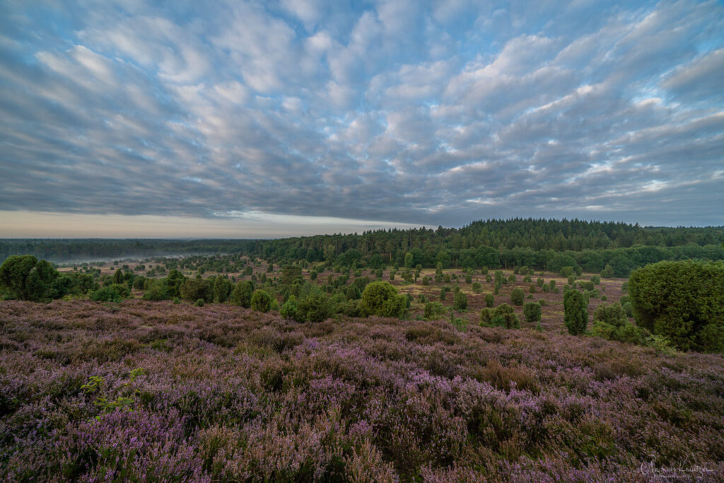 Steingrund in Lueneburger Heide