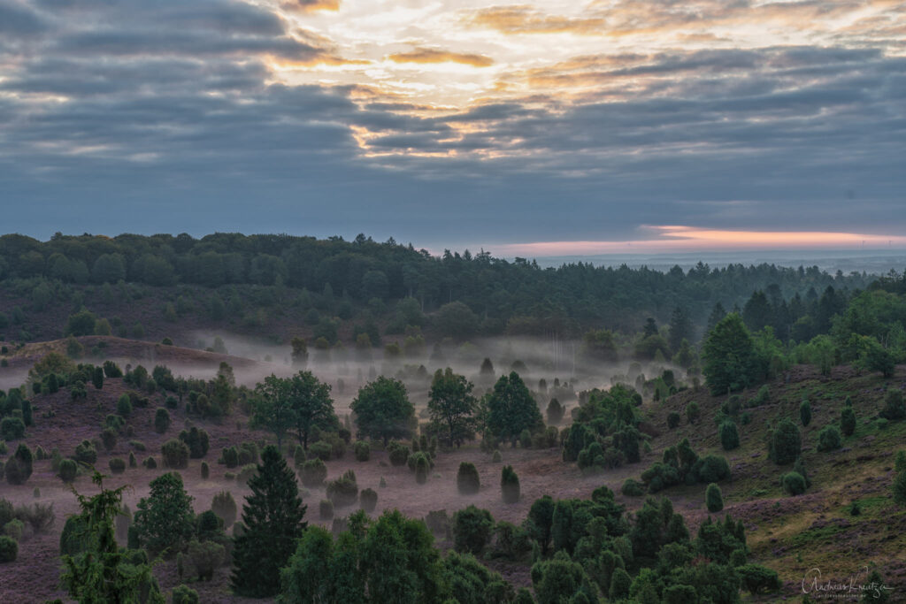 Totengrund in der Lueneburger Heide