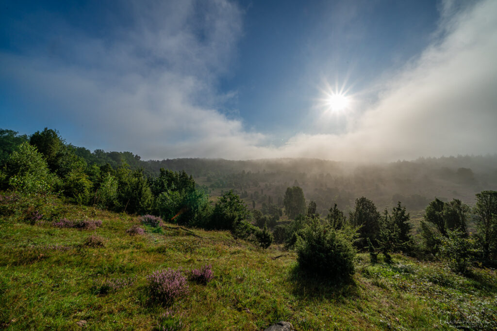 Totengrund in der Lüneburger Heide