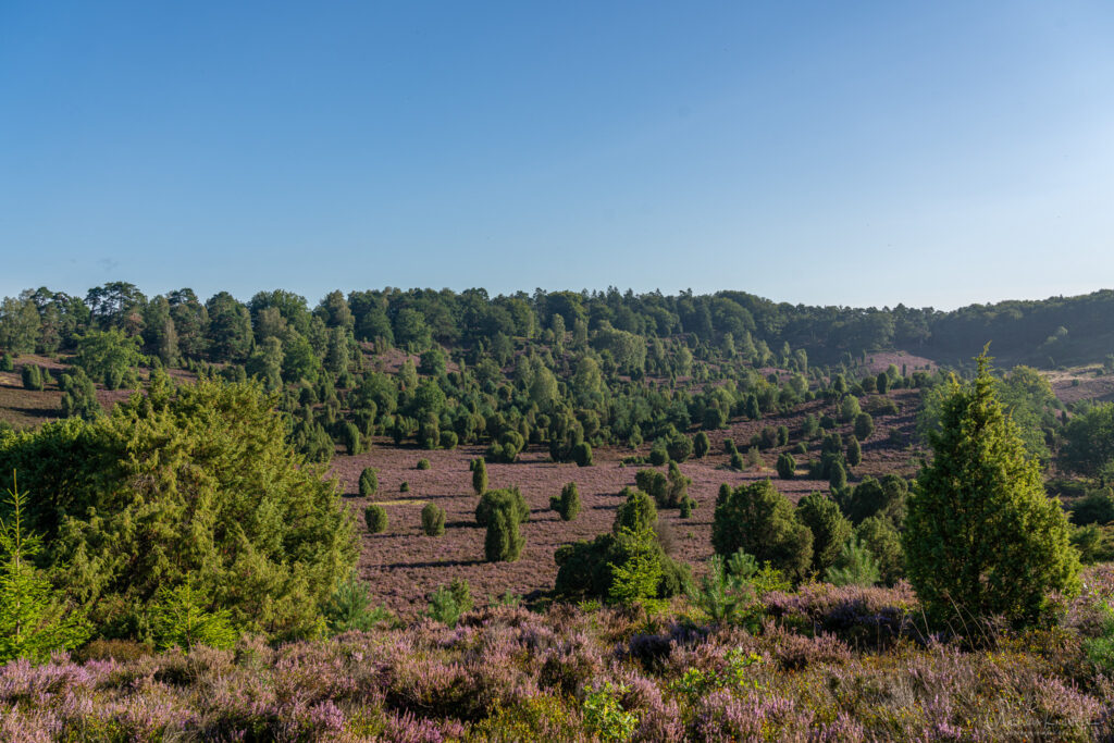 Totengrund in der Lüneburger Heide