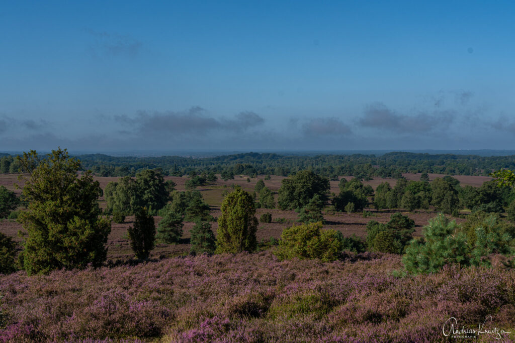 Blick vom Wilseder Berg