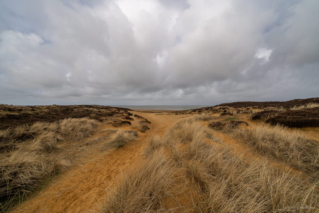 Klein Afrika auf Sylt