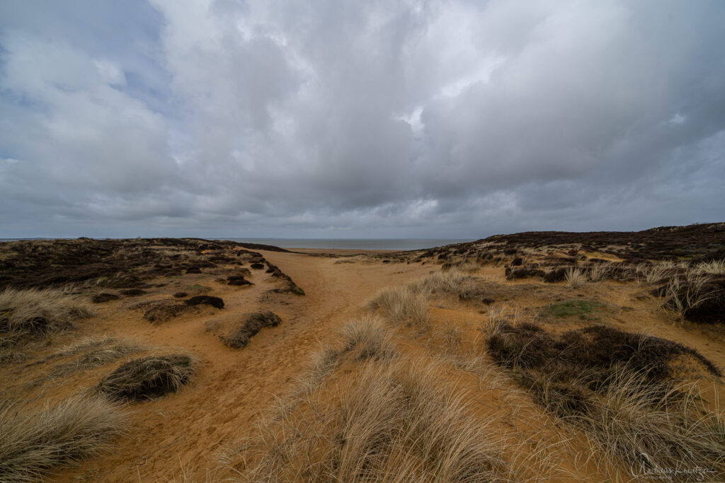 Klein Afrika auf Sylt