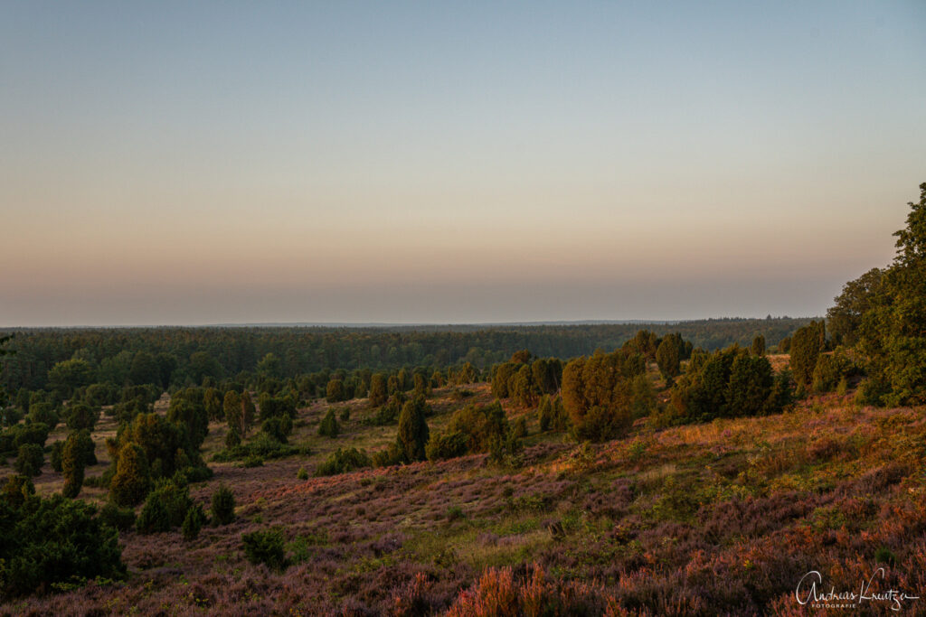 Steingrund in der Lüneburger Heide