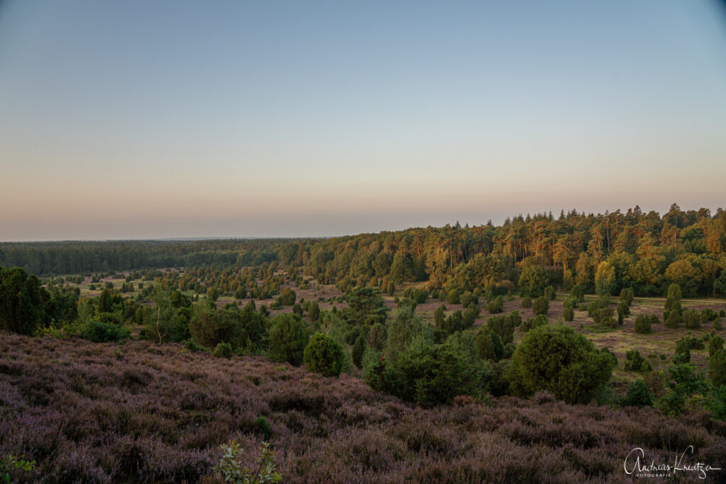 Steingrund in der Lüneburger Heide