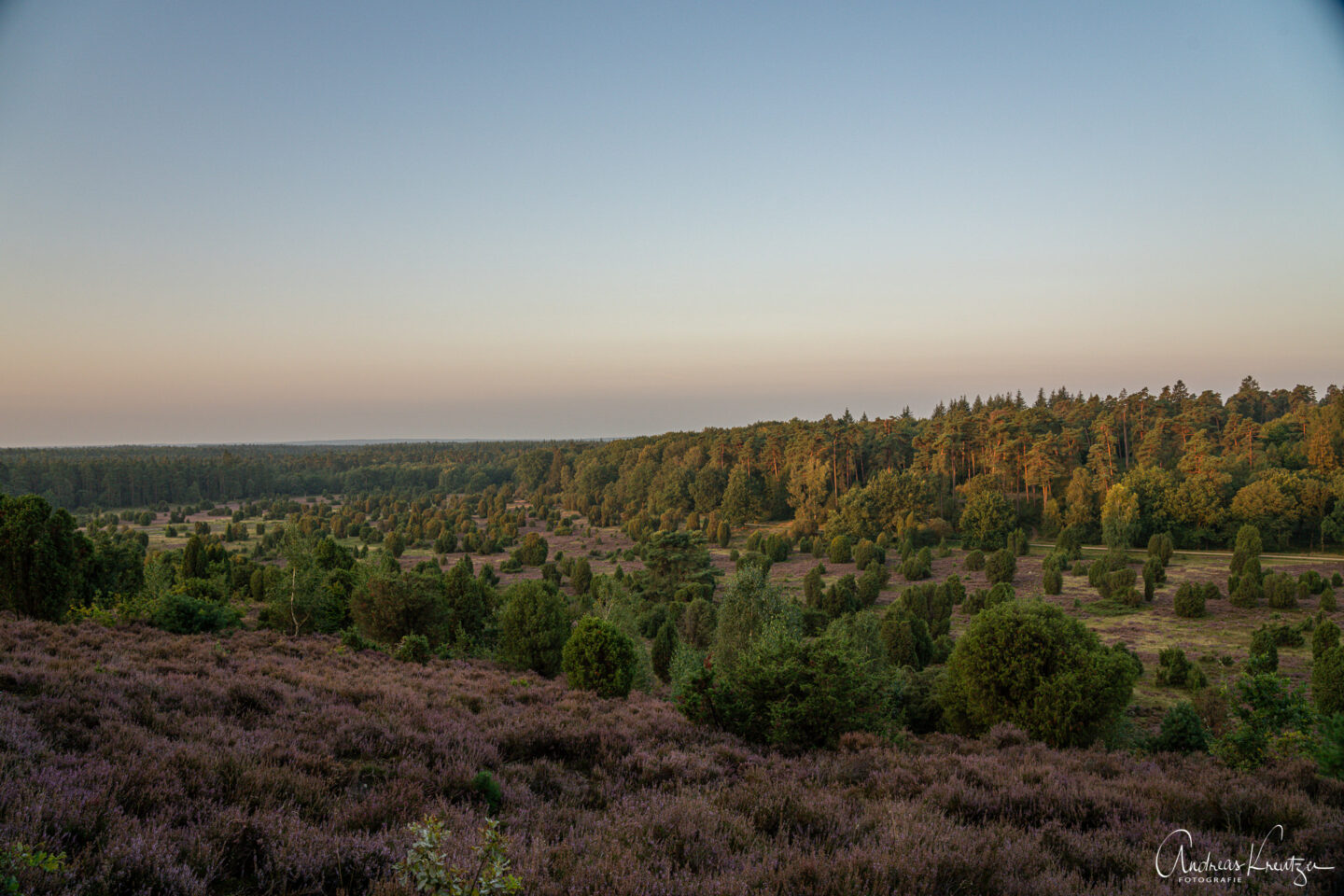 Steingrund in der Lüneburger Heide