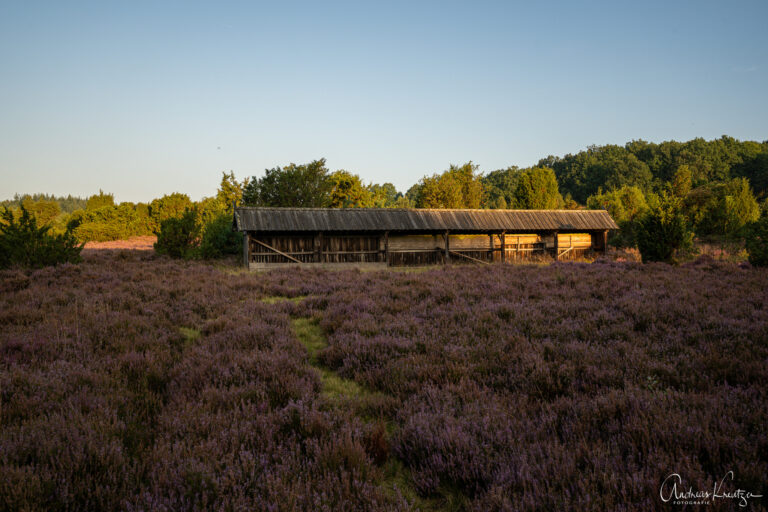 Steingrund in der Lüneburger Heide