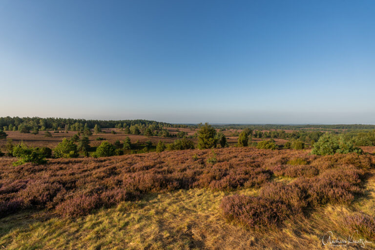 Aussichtspunkt am Suhorn