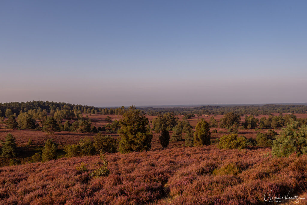 Blick vom Wilseder Berg