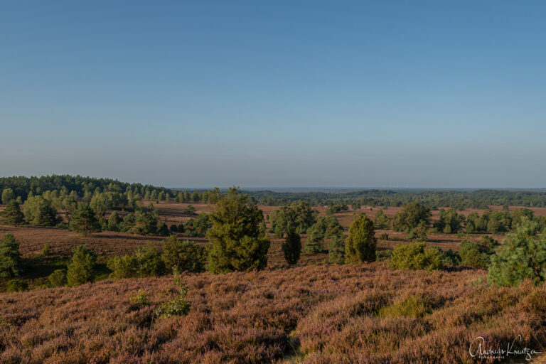 Blick vom Wilseder Berg