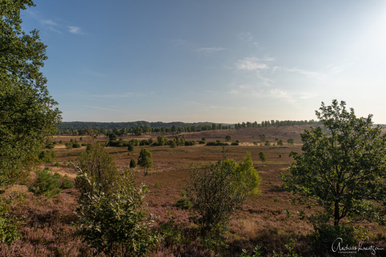 Blick vom Wümmeberg