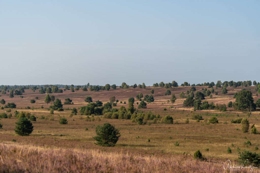 Aussichtspunkt am Suhorn