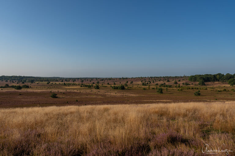 Aussichtspunkt am Suhorn